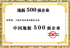 地板500强企业